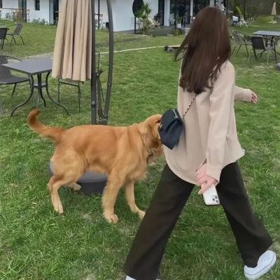 温柔酒吧